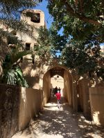 Oase Al Hamra &ndash; &copy; Frank Nimschowski (Eberhardt TRAVEL)