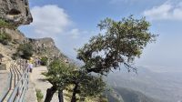 am Jabal Samhan &ndash; &copy; Frank Nimschowski (Eberhardt TRAVEL)