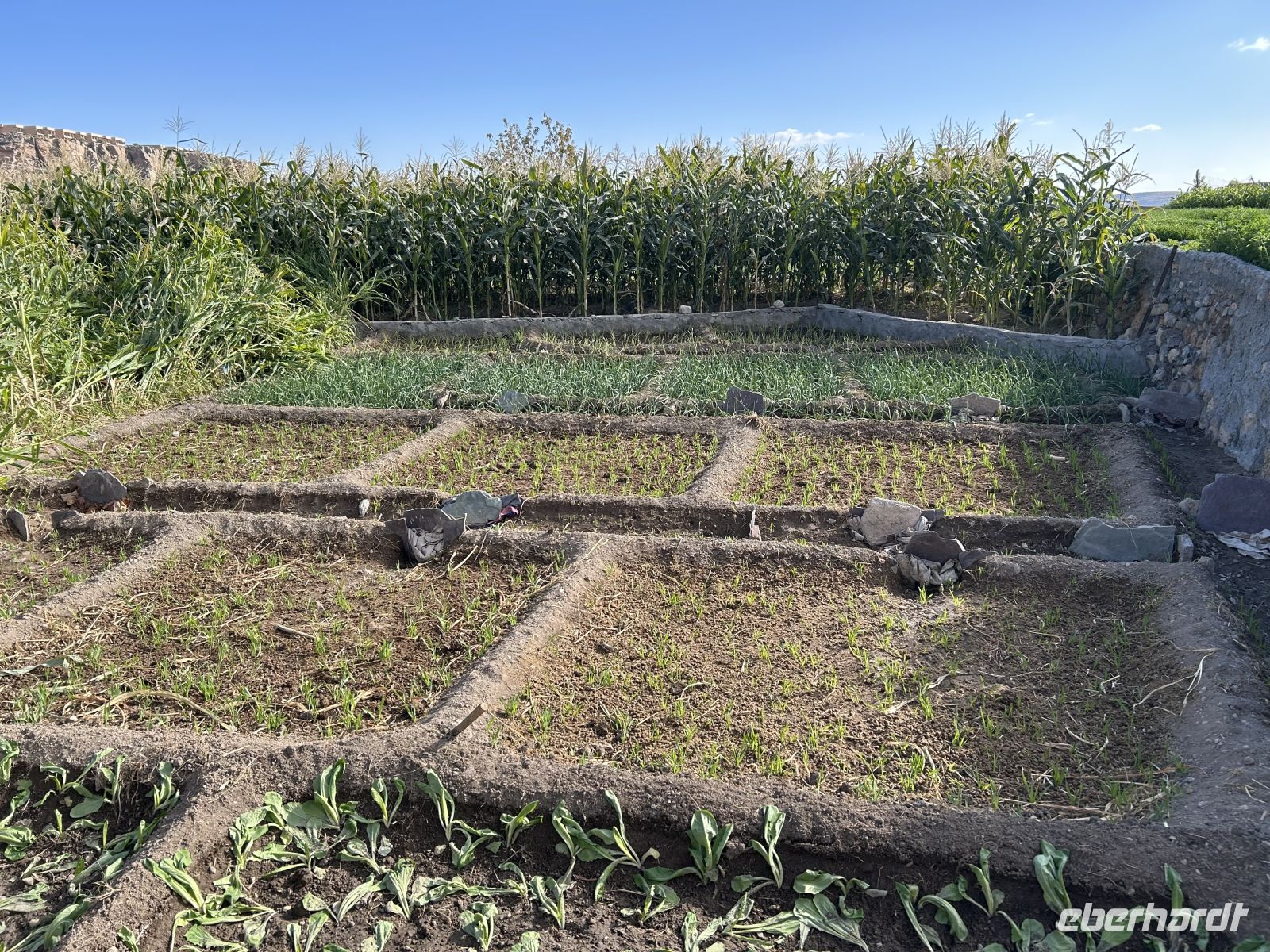 &copy; Patrick Fritzsche (Eberhardt TRAVEL)
