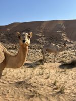 &copy; Patrick Fritzsche (Eberhardt TRAVEL)