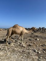 &copy; Patrick Fritzsche (Eberhardt TRAVEL)