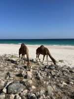 &copy; Patrick Fritzsche (Eberhardt TRAVEL)