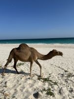 &copy; Patrick Fritzsche (Eberhardt TRAVEL)