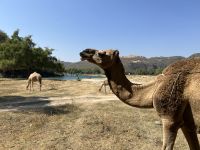 &copy; Patrick Fritzsche (Eberhardt TRAVEL)