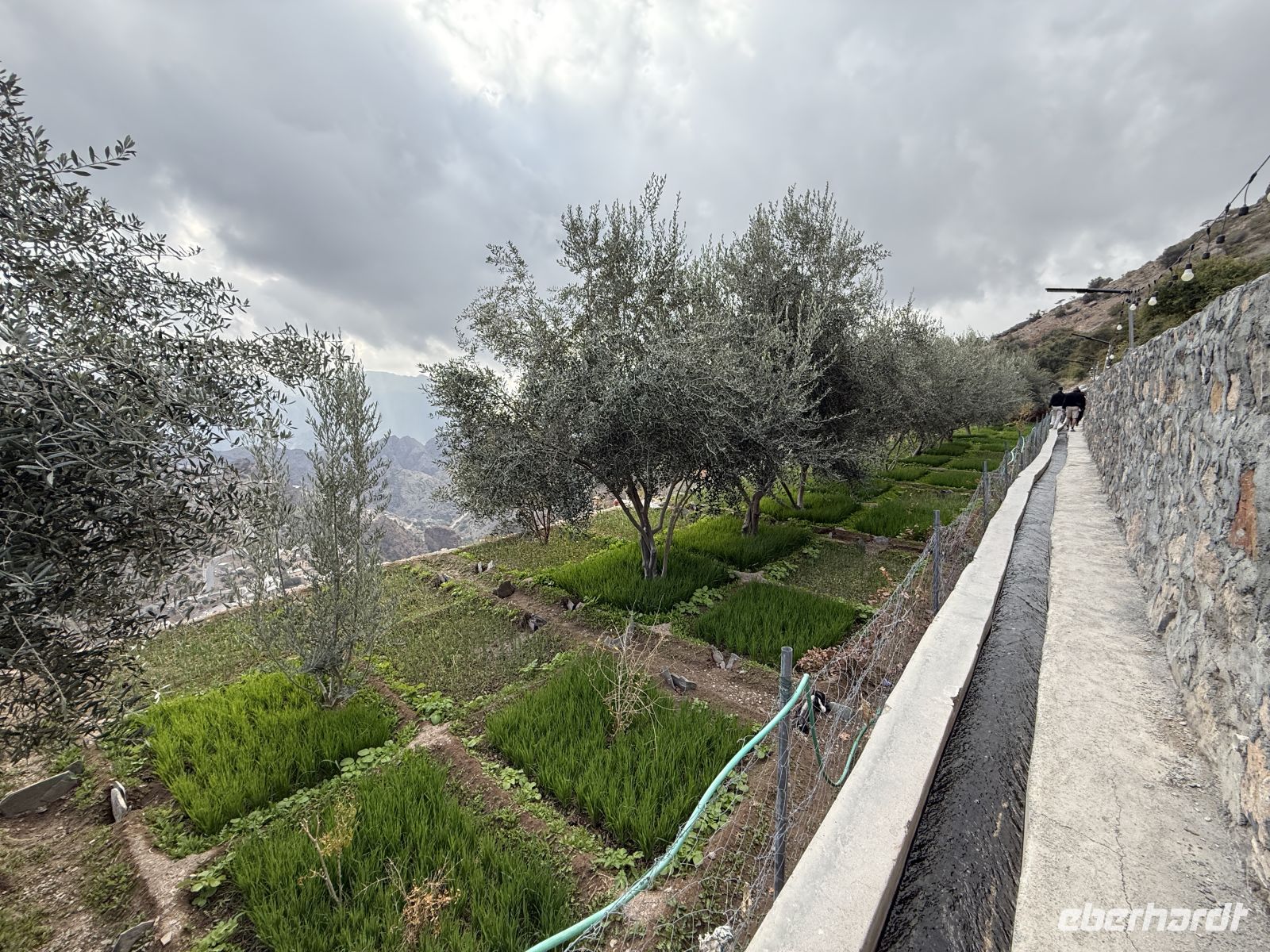 3 Dörfer Wanderung entlang schmaler Wasserkanäle - 1. Dorf: Al Uqr - 2. Dorf Al Ain - 3. Dorf: Al sherayjah &ndash; &copy; Jacob Spangenberg (Eberhardt TRAVEL)