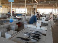 Barka (Fisch- und Gemüsemarkt) &ndash; &copy; Katrin Deutschbein (Eberhardt TRAVEL)