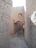 Birkat al-Mauz (Lehmdorf) &ndash; &copy; Katrin Deutschbein (Eberhardt TRAVEL)