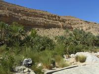 Wadi Bani Khalid &ndash; &copy; Katrin Deutschbein (Eberhardt TRAVEL)