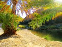 Wadi Bani Khalid &ndash; &copy; Annett Müller (Eberhardt TRAVEL)