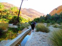 Wadi Bani Khalid &ndash; &copy; Annett Müller (Eberhardt TRAVEL)