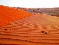 Wahiba Sands &ndash; &copy; Annett Müller (Eberhardt TRAVEL)