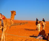 Wahiba Sands &ndash; &copy; Annett Müller (Eberhardt TRAVEL)