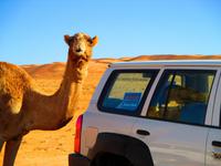 Eberhardt meets Camel &ndash; &copy; Annett Müller (Eberhardt TRAVEL)