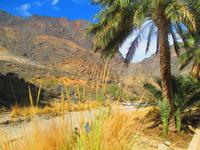 Wadi Bani Awf &ndash; &copy; Annett Müller (Eberhardt TRAVEL)