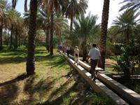 Oman, Birkat Al Mauz &ndash; &copy; Ria Heilmann (Eberhardt TRAVEL)