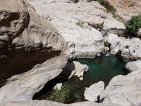 Oman, Wadi Bani Khalid &ndash; &copy; Ria Heilmann (Eberhardt TRAVEL)