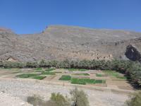 Oman, Ghul &ndash; &copy; Ria Heilmann (Eberhardt TRAVEL)
