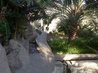 Oman, Misfat Al Abreain &ndash; &copy; Ria Heilmann (Eberhardt TRAVEL)