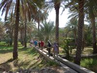 Oman, Birkat Al Mauz &ndash; &copy; Ria Heilmann (Eberhardt TRAVEL)