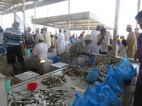 Besuch Fischmarkt Barka &ndash; &copy; Annette Weise (Eberhardt TRAVEL)