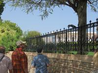 Muscat - Sultanspalast -Zwiesprache mit einem Raben &ndash; &copy; Annette Weise (Eberhardt TRAVEL)