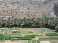 Wadi Guhl &ndash; &copy; Kathrin Mickan (Eberhardt TRAVEL)