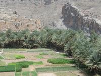 Wadi Guhl &ndash; &copy; Kathrin Mickan (Eberhardt TRAVEL)