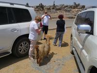 Jebel Shams Grand Canyon &ndash; &copy; Kathrin Mickan (Eberhardt TRAVEL)