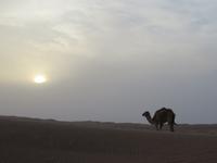 Sundowner Wüste &ndash; &copy; Kathrin Mickan (Eberhardt TRAVEL)