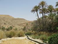 Wadi Bani Kahlid &ndash; &copy; Kathrin Mickan (Eberhardt TRAVEL)