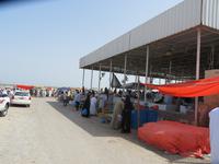 Barka Fischmarkt &ndash; &copy; Kathrin Mickan (Eberhardt TRAVEL)