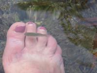 Putzerfische Ain Thowara Quellen  &ndash; &copy; Kathrin Mickan (Eberhardt TRAVEL)