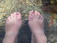 Putzerfische Ain Thowara Quellen  &ndash; &copy; Kathrin Mickan (Eberhardt TRAVEL)