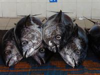 Muscat Fischmarkt &ndash; &copy; Kathrin Mickan (Eberhardt TRAVEL)