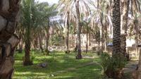 Al Hamra &ndash; &copy; Frank Nimschowski (Eberhardt TRAVEL)