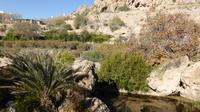 Wanderung im Jebel Akhdar Gebirge &ndash; &copy; Frank Nimschowski (Eberhardt TRAVEL)