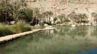 Wadi Bani Khalid &ndash; &copy; Frank Nimschowski (Eberhardt TRAVEL)