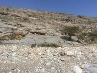 045 Wadi Ghul &ndash; &copy; Patrick Fritzsche (Eberhardt TRAVEL)