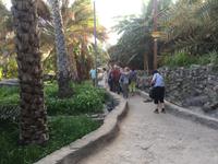 068 Misfat Al Abriyeen &ndash; &copy; Patrick Fritzsche (Eberhardt TRAVEL)