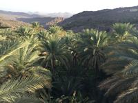 069 Misfat Al Abriyeen &ndash; &copy; Patrick Fritzsche (Eberhardt TRAVEL)