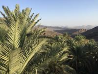 070 Misfat Al Abriyeen &ndash; &copy; Patrick Fritzsche (Eberhardt TRAVEL)