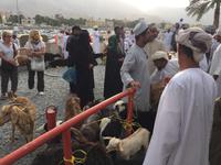 078 Freitagsmarkt Nizwa &ndash; &copy; Patrick Fritzsche (Eberhardt TRAVEL)