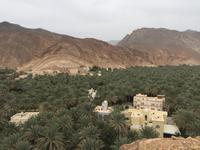 112 Birkat al Mauz &ndash; &copy; Patrick Fritzsche (Eberhardt TRAVEL)