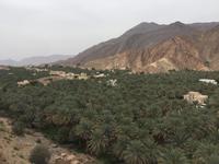 113 Birkat al Mauz &ndash; &copy; Patrick Fritzsche (Eberhardt TRAVEL)