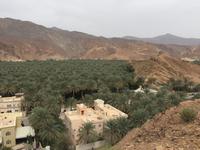 115 Birkat al Mauz &ndash; &copy; Patrick Fritzsche (Eberhardt TRAVEL)