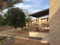 119 Wüstencamp Sama Al Wasil &ndash; &copy; Patrick Fritzsche (Eberhardt TRAVEL)