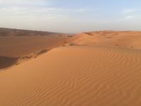 130 Wüstentour Wahiba Sands &ndash; &copy; Patrick Fritzsche (Eberhardt TRAVEL)