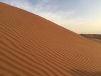 134 Wüstentour Wahiba Sands &ndash; &copy; Patrick Fritzsche (Eberhardt TRAVEL)