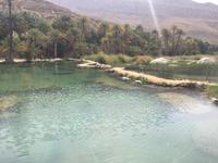 155 Wadi Bani Khalid &ndash; &copy; Patrick Fritzsche (Eberhardt TRAVEL)