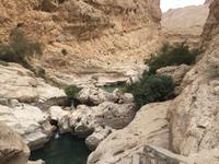 162 Wadi Bani Khalid &ndash; &copy; Patrick Fritzsche (Eberhardt TRAVEL)